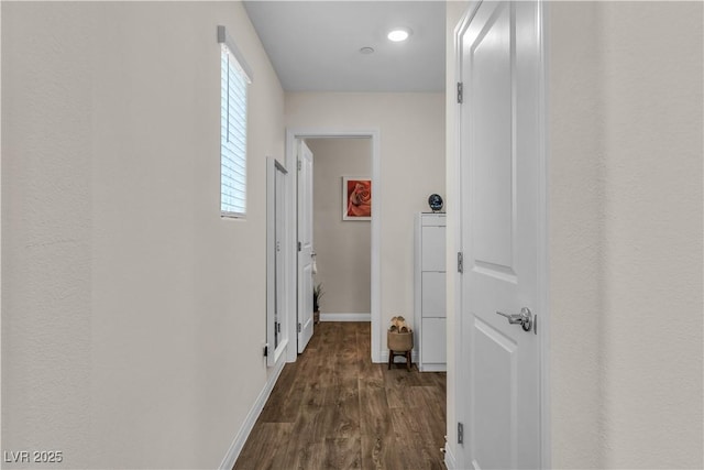 hallway with dark hardwood / wood-style flooring