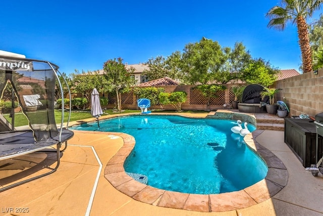 view of pool with a trampoline and a patio