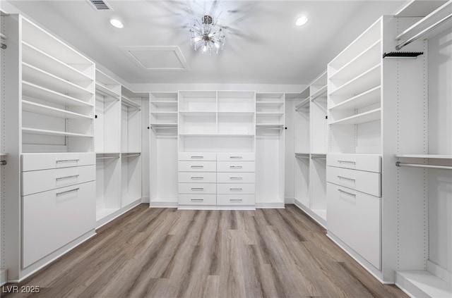 walk in closet featuring light hardwood / wood-style floors