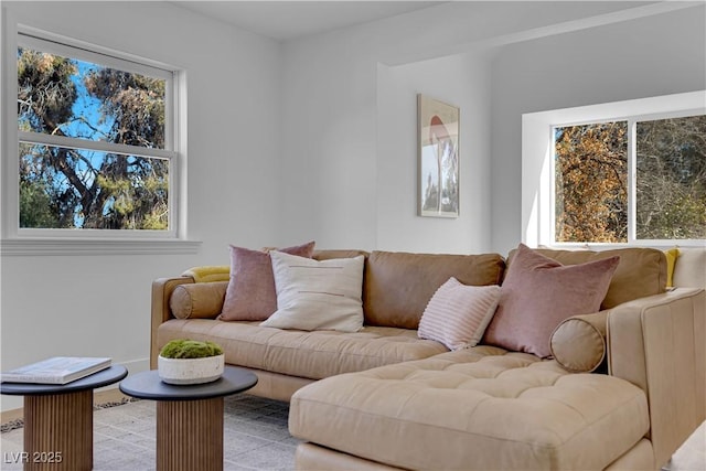 living room featuring a wealth of natural light