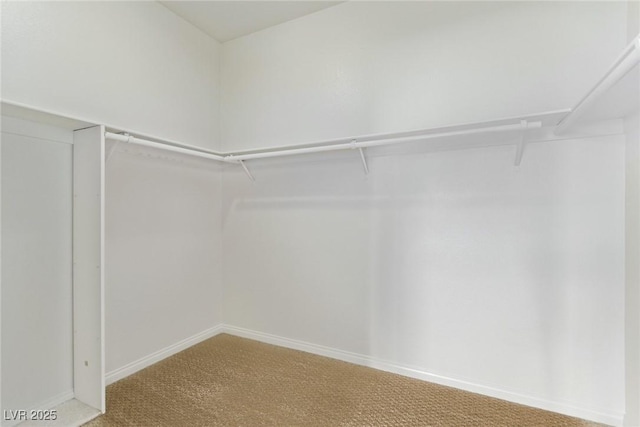 spacious closet with carpet floors