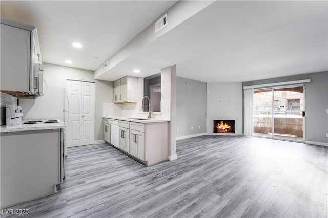 kitchen with sink and light wood-type flooring