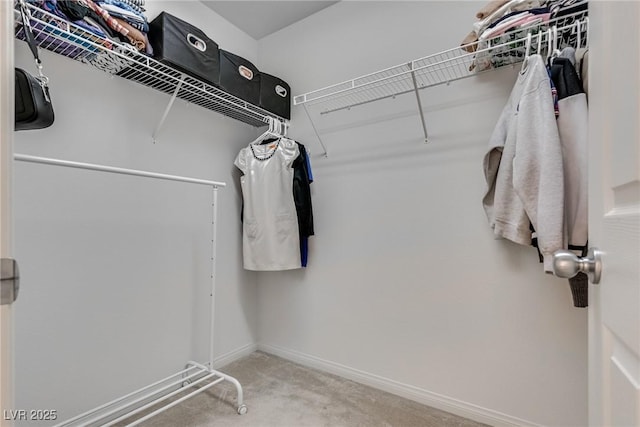 spacious closet with carpet