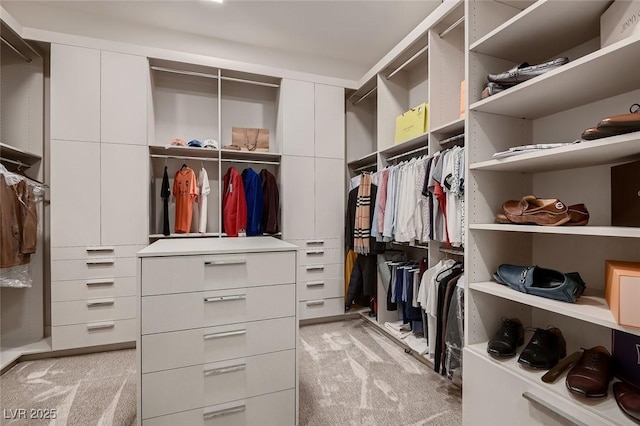 spacious closet featuring light colored carpet