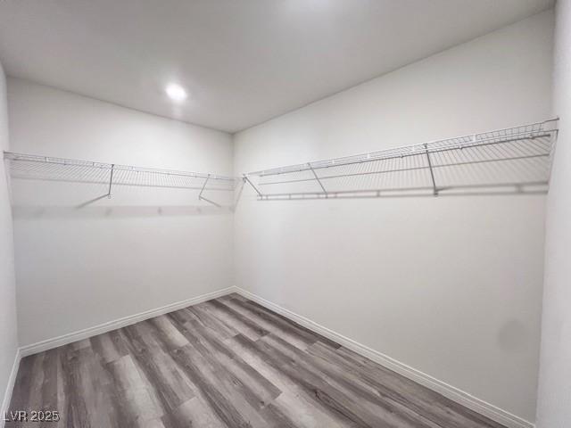 walk in closet with hardwood / wood-style flooring