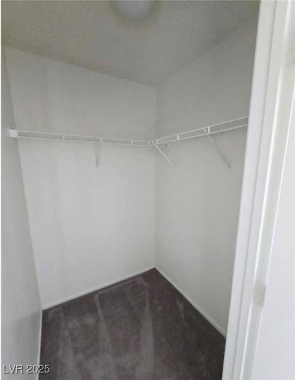 spacious closet featuring dark colored carpet