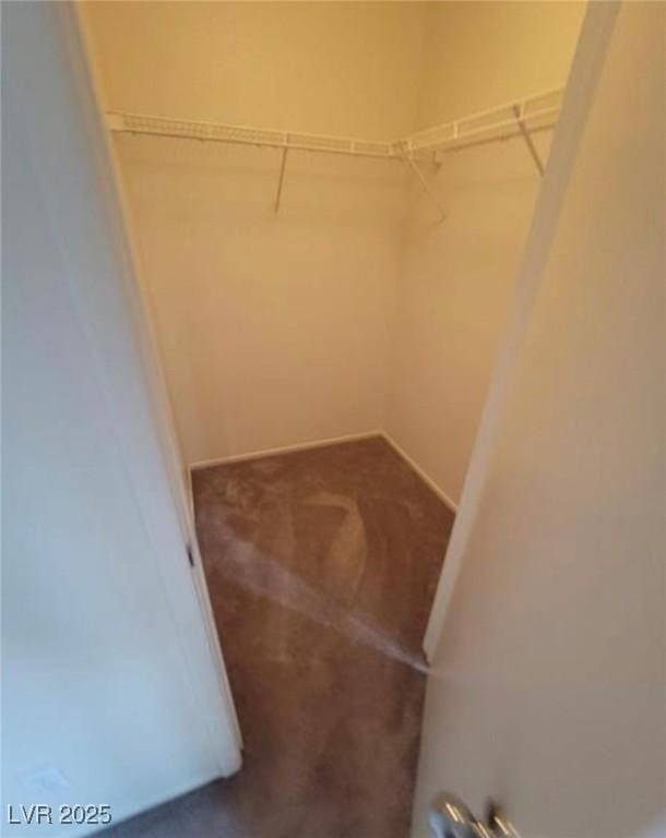 walk in closet featuring carpet flooring