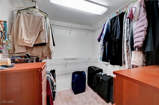 spacious closet featuring light carpet