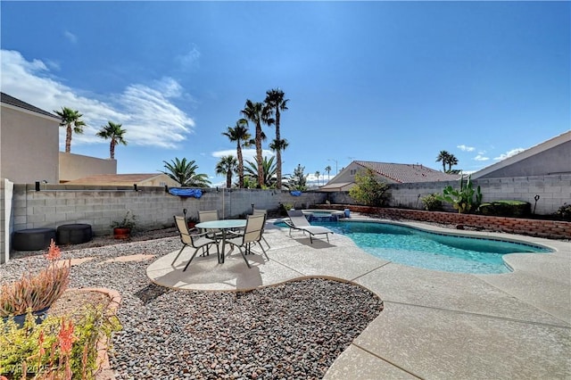 view of pool with a patio area