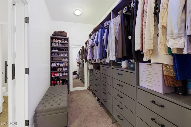 spacious closet with light colored carpet