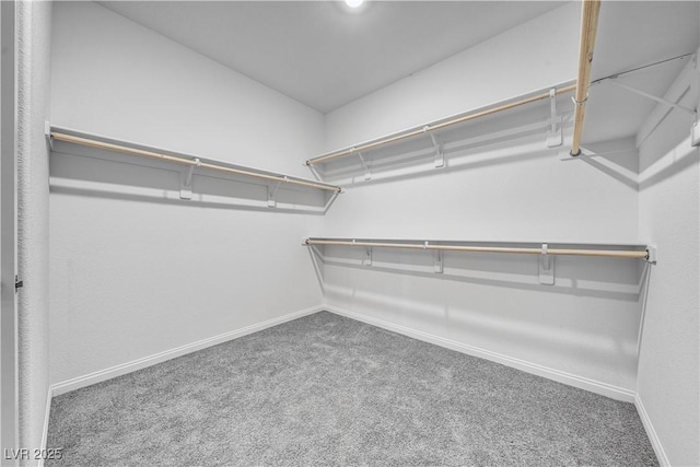 walk in closet featuring carpet floors