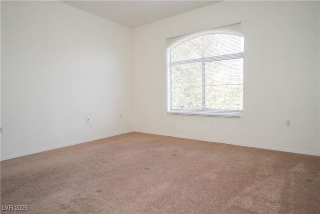 unfurnished room with carpet