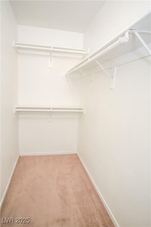 walk in closet with light carpet