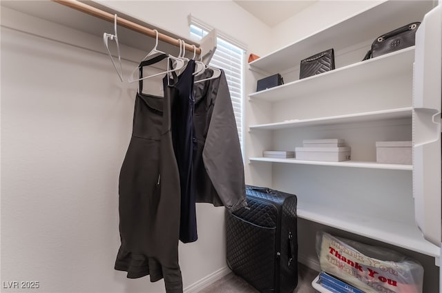 view of spacious closet