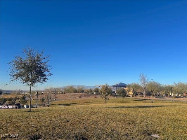 view of yard featuring a rural view