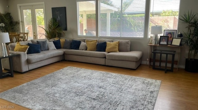 living room with hardwood / wood-style flooring