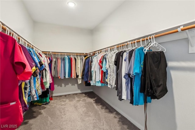 9690 Hiking Ave, Las Vegas, NV 89166 - walk in closet featuring carpet floors