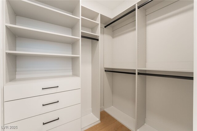 spacious closet featuring light wood-style floors