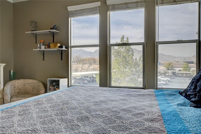 bedroom featuring multiple windows