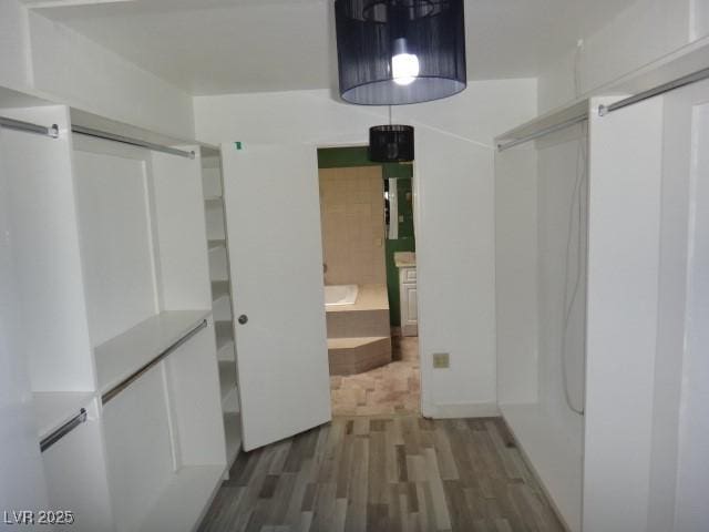 walk in closet featuring dark wood-style flooring and a barn door