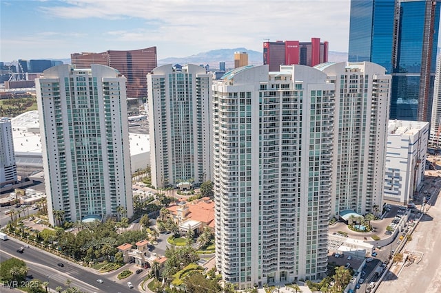 drone / aerial view with a city view