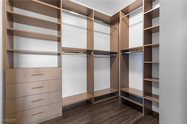 spacious closet featuring dark wood-style flooring