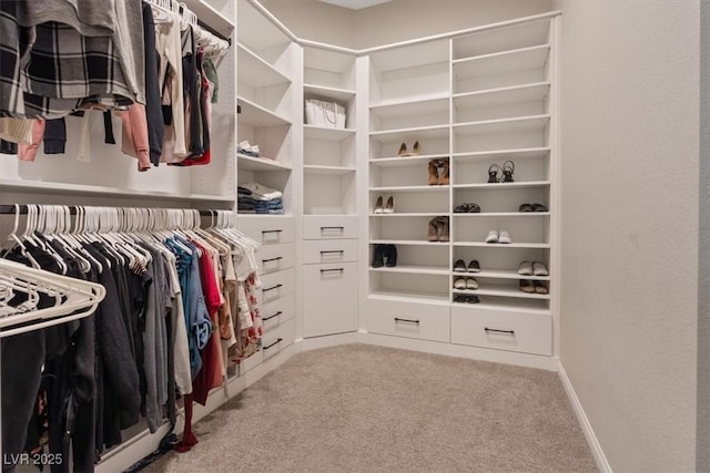 spacious closet with light colored carpet