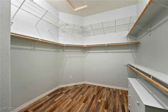 spacious closet featuring dark wood-type flooring