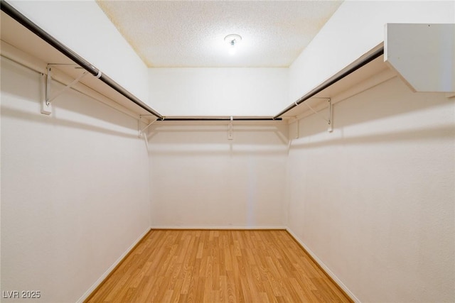 walk in closet featuring light wood-style flooring