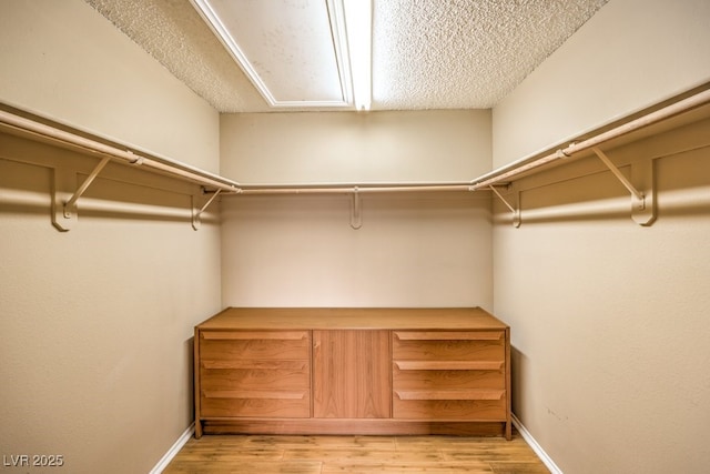 spacious closet featuring light hardwood / wood-style floors