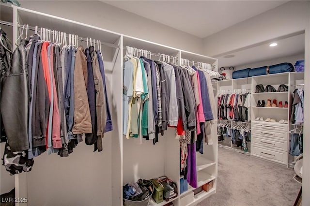 view of spacious closet