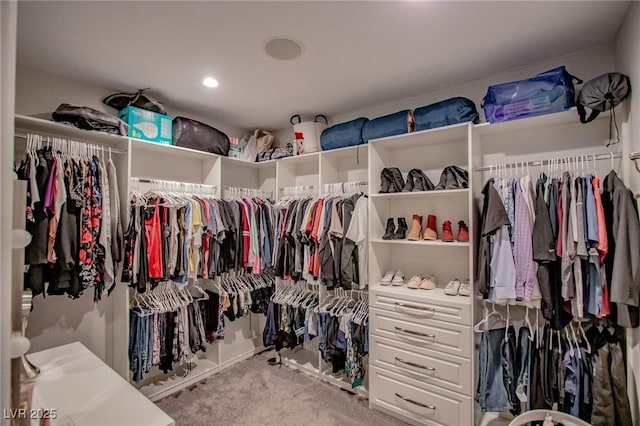 walk in closet featuring carpet flooring