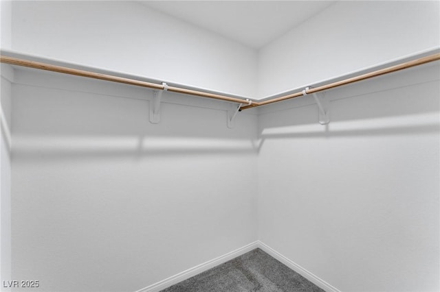 walk in closet with carpet flooring