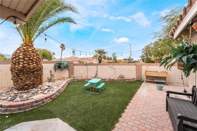 view of yard featuring a patio and a fenced backyard