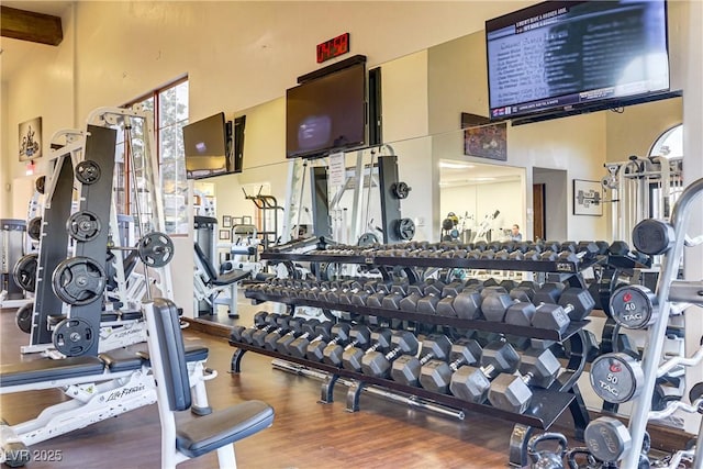 gym featuring a towering ceiling and wood finished floors