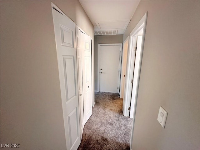 hallway featuring visible vents and carpet flooring