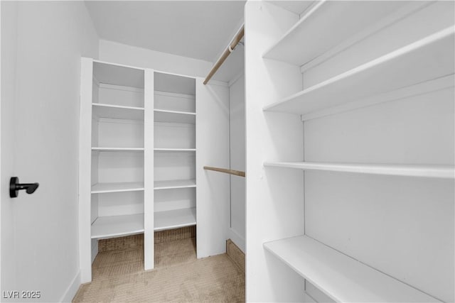 view of walk in closet