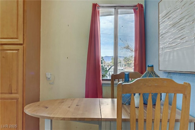 dining space with a wealth of natural light