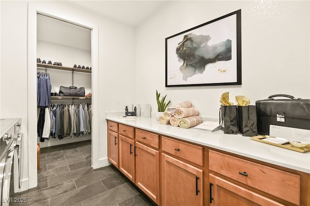 full bathroom with a walk in closet and vanity