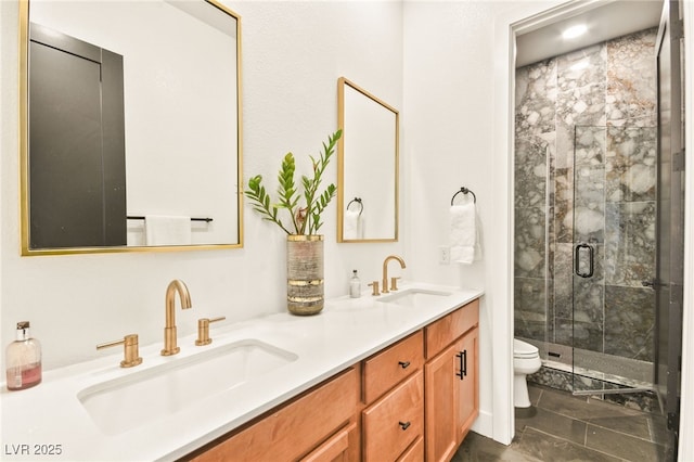 bathroom with toilet, a shower stall, double vanity, and a sink