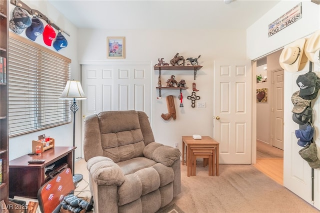 living area with light carpet