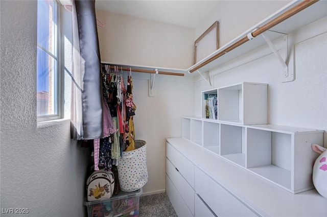 spacious closet with carpet flooring