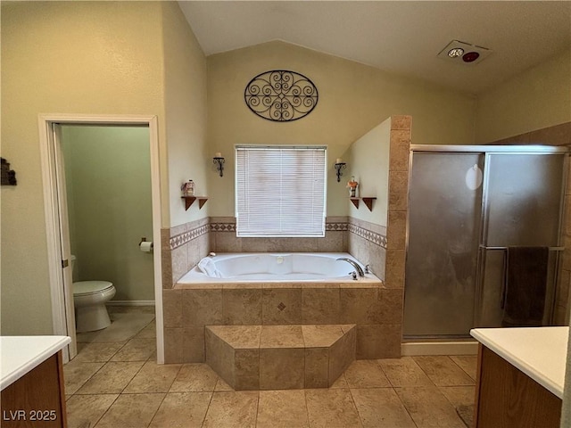 bathroom featuring toilet, a stall shower, vanity, and lofted ceiling
