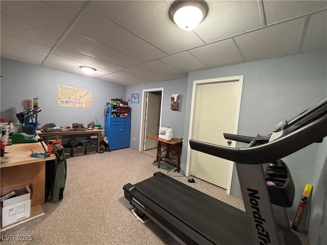 workout room featuring carpet floors and a drop ceiling