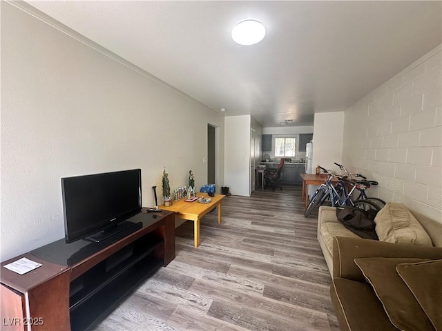 living area featuring wood finished floors