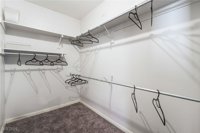 spacious closet with carpet floors