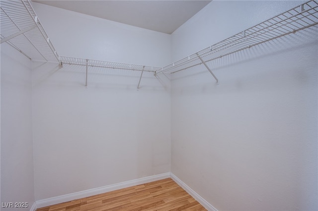 walk in closet featuring wood finished floors