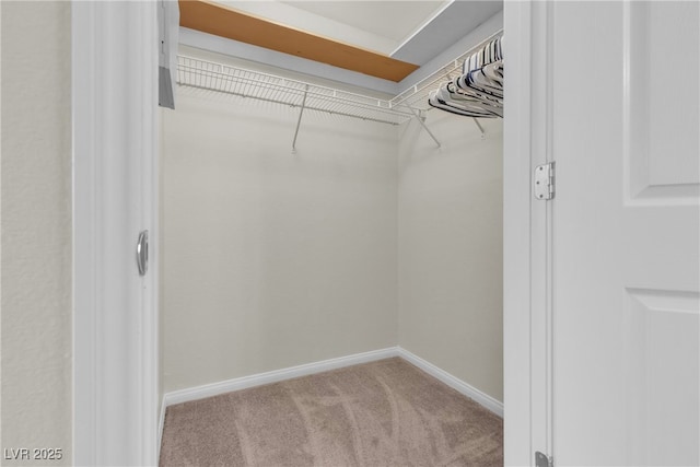 spacious closet with light colored carpet