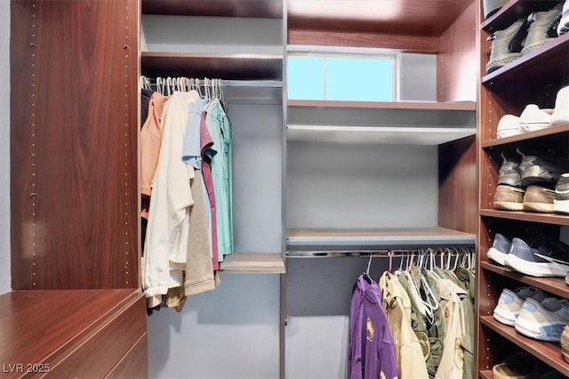 view of spacious closet