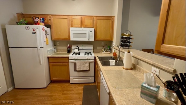 kitchen featuring white appliances, light wood-style floors, light countertops, and a sink